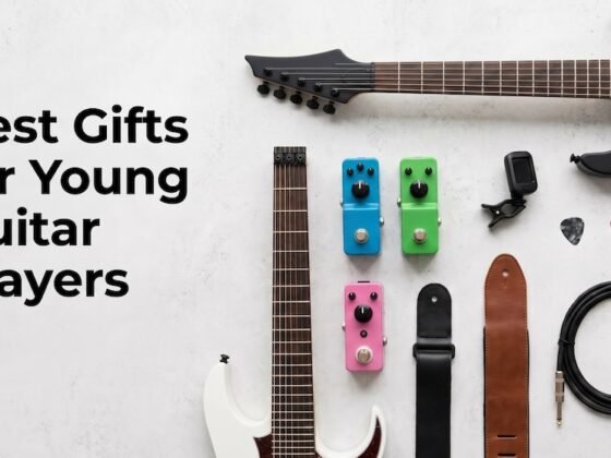 Guitar, effect pedals and guitar accessories
